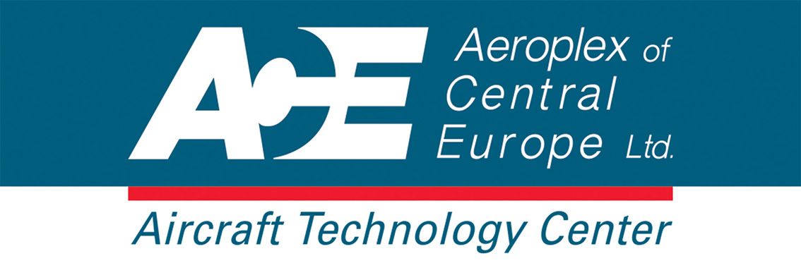 ACE-logo-angol-pozitiv-kek-RGB-72-dpi